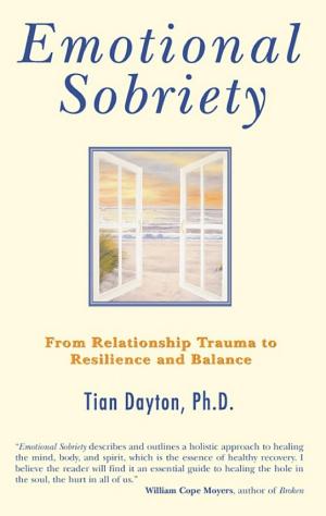 Cover of Emotional Sobriety: From Relationship Trauma to Resilience and Lasting Fulfillment