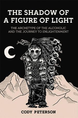 Cover of The Shadow of a Figure of Light