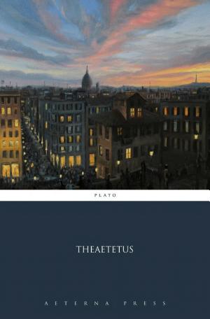 Cover of Theaetetus