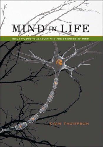 Cover of Mind in Life: Biology, Phenomenology, and the Sciences of Mind